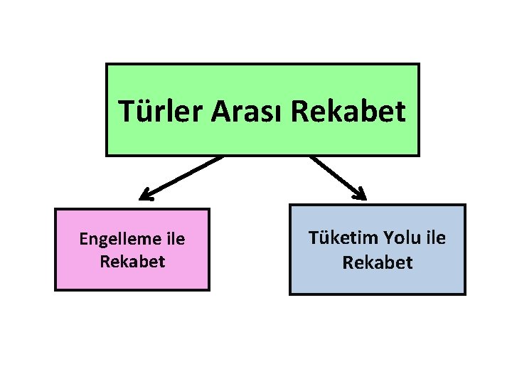 Türler Arası Rekabet Engelleme ile Rekabet Tüketim Yolu ile Rekabet 