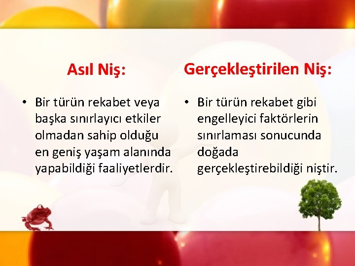 Asıl Niş: Gerçekleştirilen Niş: • Bir türün rekabet veya • Bir türün rekabet gibi