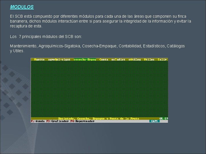 MODULOS El SCB está compuesto por diferentes módulos para cada una de las áreas