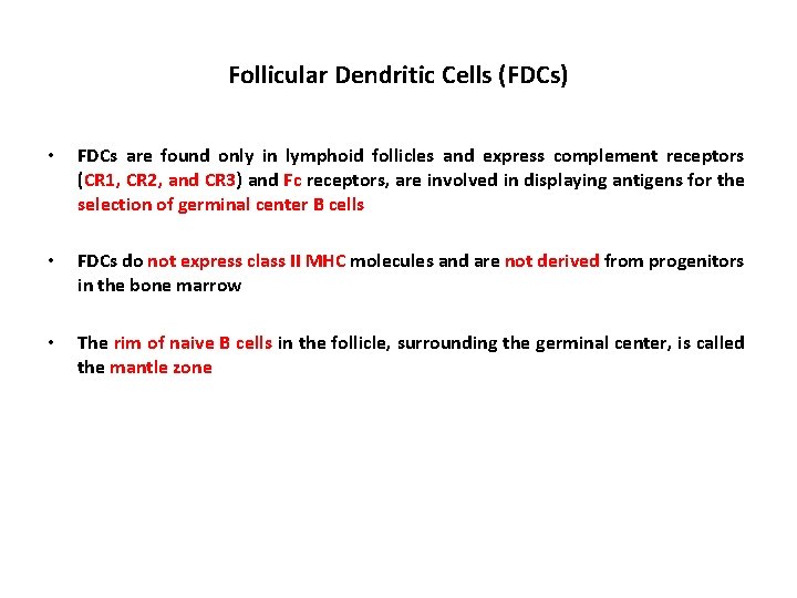 Follicular Dendritic Cells (FDCs) • FDCs are found only in lymphoid follicles and express