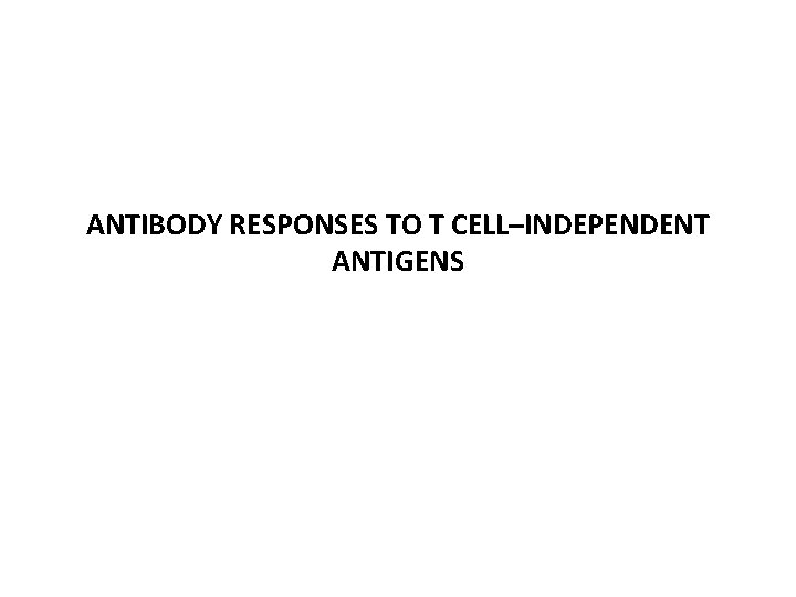 ANTIBODY RESPONSES TO T CELL–INDEPENDENT ANTIGENS 