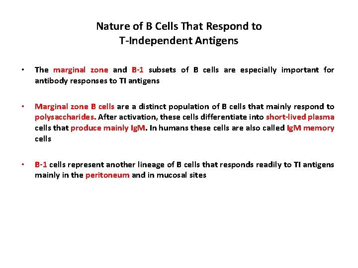 Nature of B Cells That Respond to T-Independent Antigens • The marginal zone and