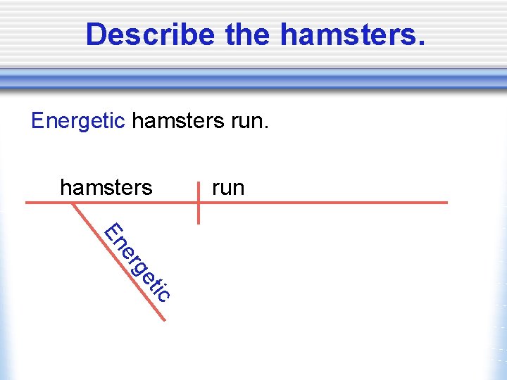 Describe the hamsters. Energetic hamsters run er En tic ge 