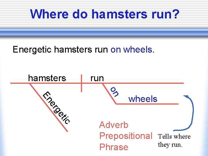 Where do hamsters run? Energetic hamsters run on wheels. hamsters run on er En