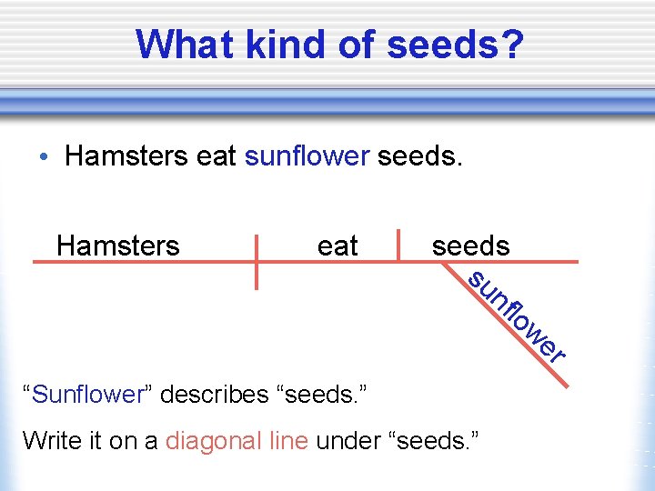 What kind of seeds? • Hamsters eat sunflower seeds. Hamsters eat seeds su nf