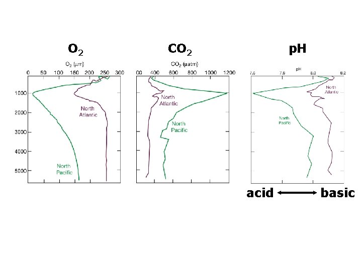 O 2 CO 2 p. H acid basic 