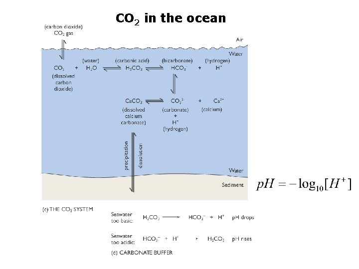 CO 2 in the ocean 