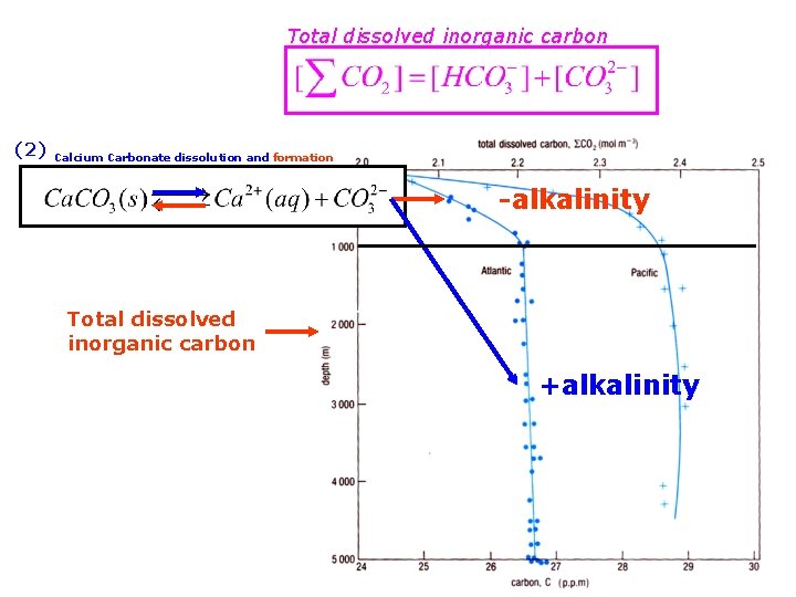 Total dissolved inorganic carbon (2) Calcium Carbonate dissolution and formation -alkalinity Total dissolved inorganic