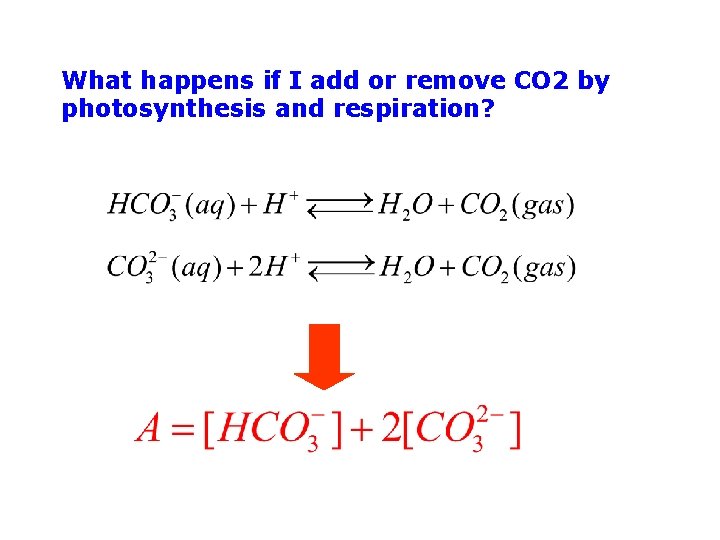 What happens if I add or remove CO 2 by photosynthesis and respiration? 