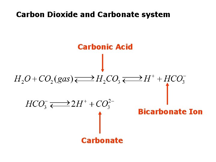 Carbon Dioxide and Carbonate system Carbonic Acid Bicarbonate Ion Carbonate 