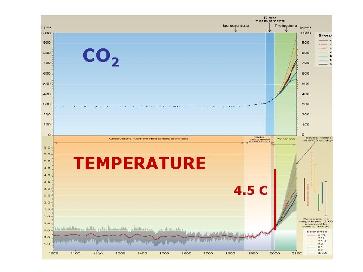 CO 2 TEMPERATURE 4. 5 C 