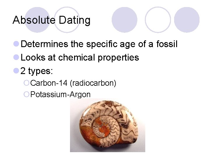 Absolute Dating l Determines the specific age of a fossil l Looks at chemical