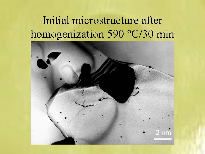 Initial microstructure after homogenization 590 °C/30 min 
