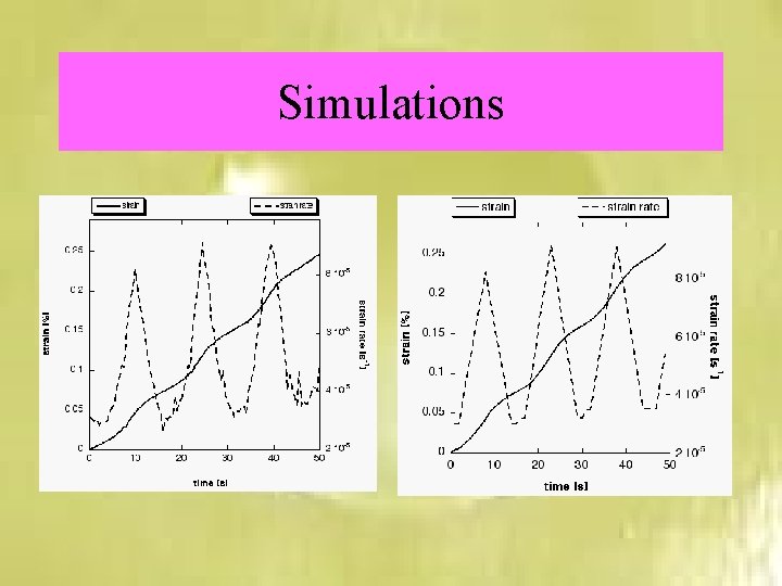 Simulations 
