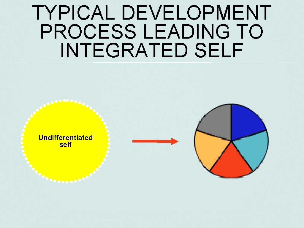 TYPICAL DEVELOPMENT PROCESS LEADING TO INTEGRATED SELF Undifferentiated self 