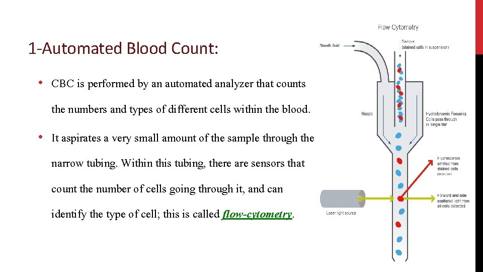 1 -Automated Blood Count: • CBC is performed by an automated analyzer that counts