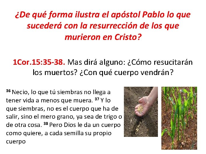 ¿De qué forma ilustra el apóstol Pablo lo que sucederá con la resurrección de