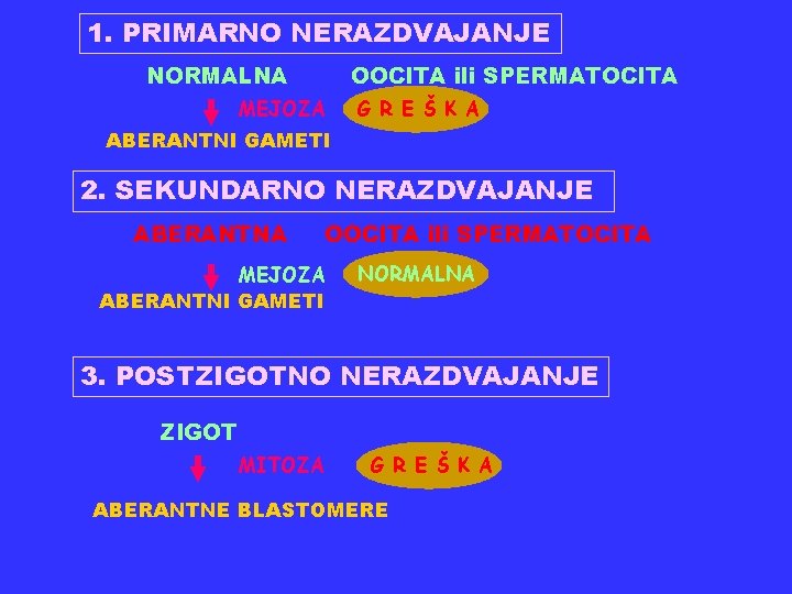 1. PRIMARNO NERAZDVAJANJE NORMALNA OOCITA ili SPERMATOCITA MEJOZA G R E Š K A