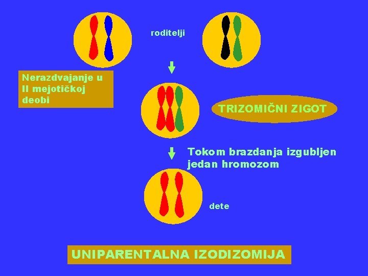 roditelji Nerazdvajanje u II mejotičkoj deobi TRIZOMIČNI ZIGOT Tokom brazdanja izgubljen jedan hromozom dete