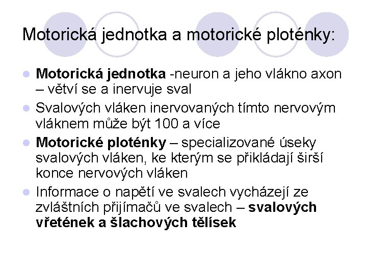 Motorická jednotka a motorické ploténky: Motorická jednotka -neuron a jeho vlákno axon – větví