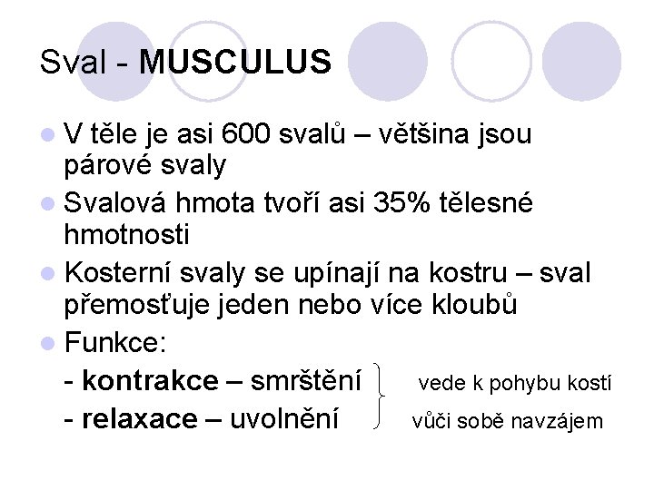 Sval - MUSCULUS l. V těle je asi 600 svalů – většina jsou párové
