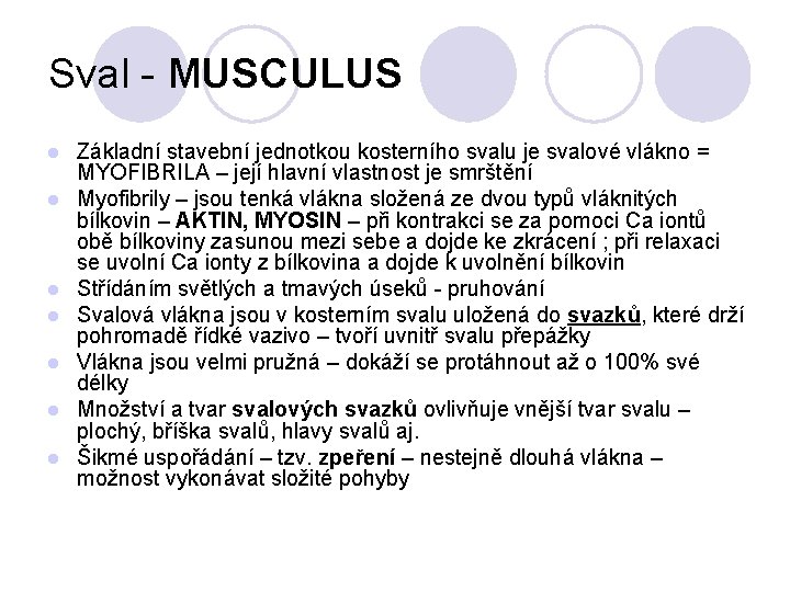 Sval - MUSCULUS l l l l Základní stavební jednotkou kosterního svalu je svalové