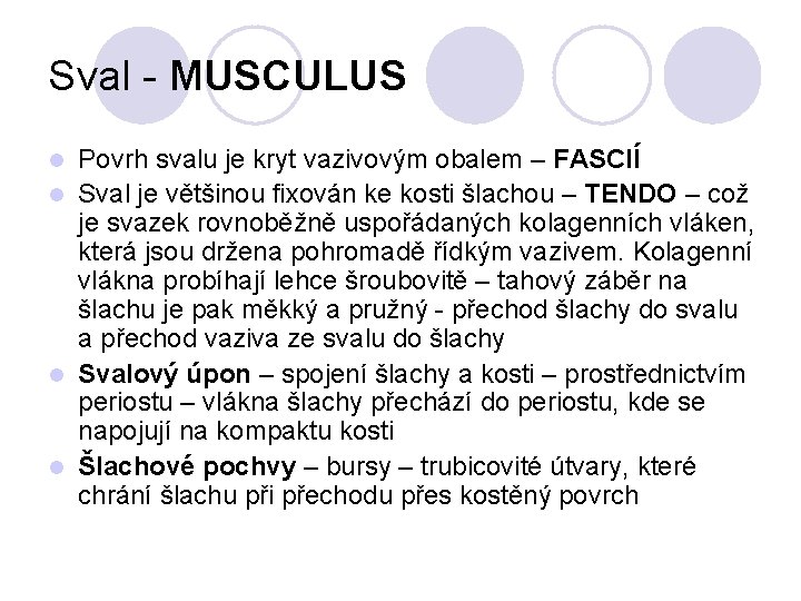 Sval - MUSCULUS Povrh svalu je kryt vazivovým obalem – FASCIÍ l Sval je