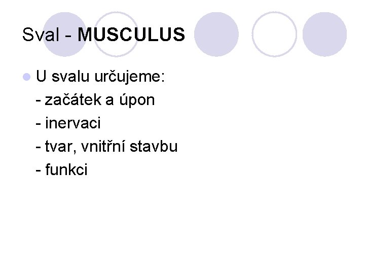 Sval - MUSCULUS l. U svalu určujeme: - začátek a úpon - inervaci -