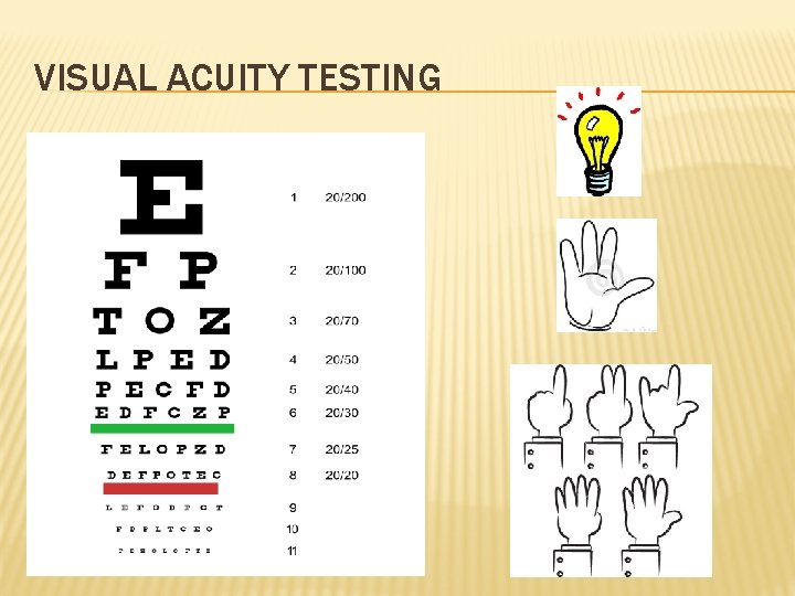 VISUAL ACUITY TESTING 