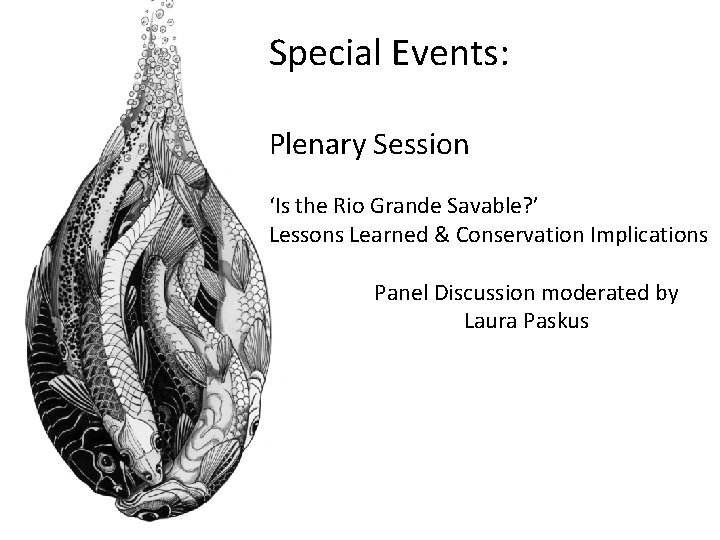 Special Events: Plenary Session ‘Is the Rio Grande Savable? ’ Lessons Learned & Conservation