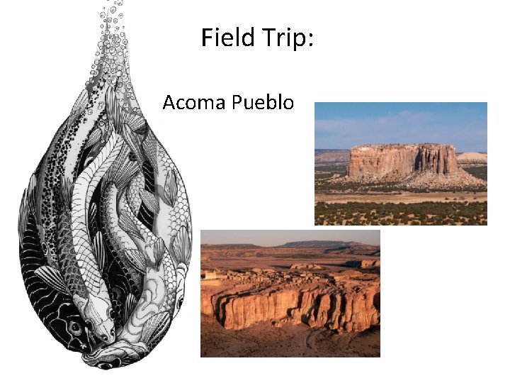 Field Trip: Acoma Pueblo 