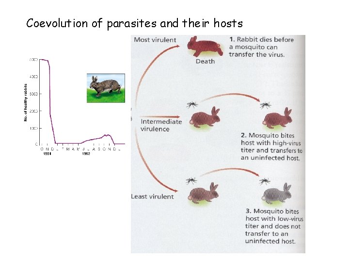 Coevolution of parasites and their hosts 