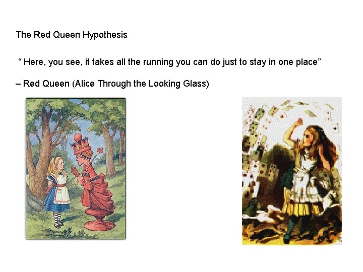 The Red Queen Hypothesis “ Here, you see, it takes all the running you