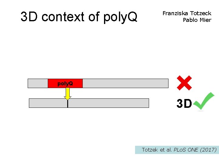3 D context of poly. Q Franziska Totzeck Pablo Mier 3 D 3 D