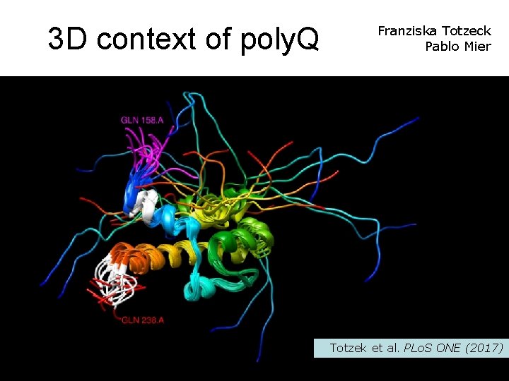 3 D context of poly. Q Franziska Totzeck Pablo Mier Totzek et al. PLo.