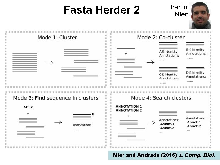 Fasta Herder 2 Pablo Mier and Andrade (2016) J. Comp. Biol. 