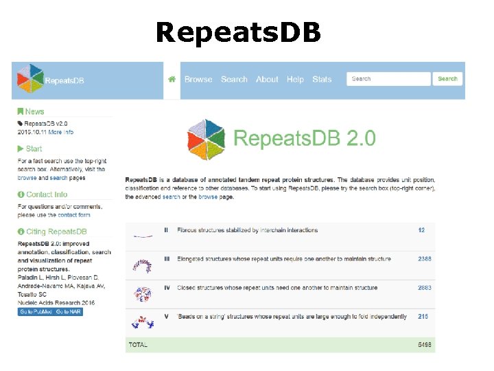 Repeats. DB 