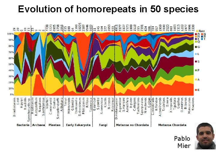 Evolution of homorepeats in 50 species Pablo Mier 