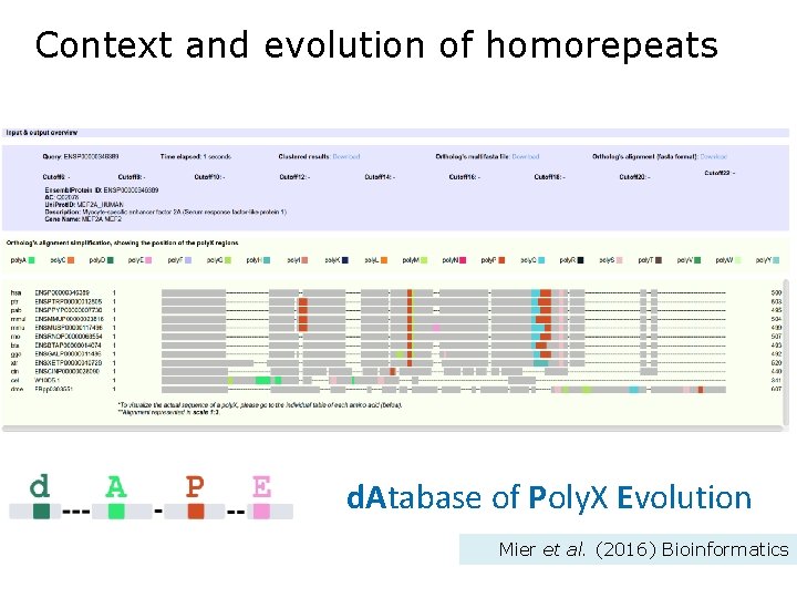 Context and evolution of homorepeats d. Atabase of Poly. X Evolution Mier et al.