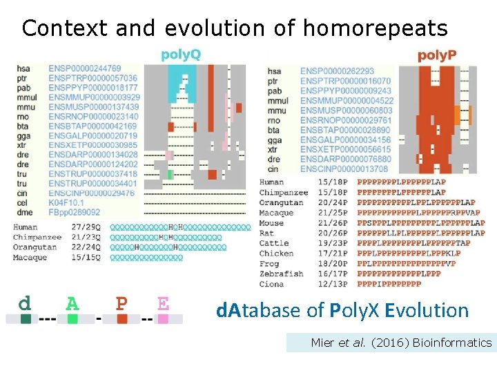 Context and evolution of homorepeats d. Atabase of Poly. X Evolution Mier et al.
