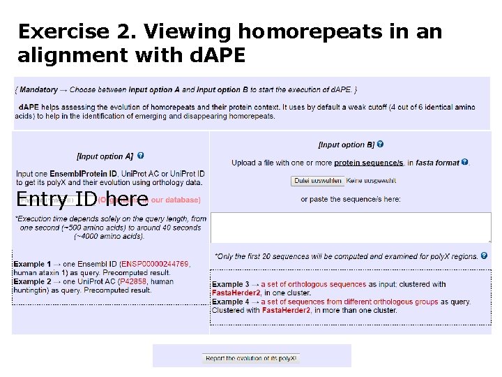 Exercise 2. Viewing homorepeats in an alignment with d. APE Entry ID here 