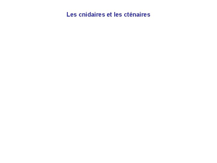 Les cnidaires et les cténaires 