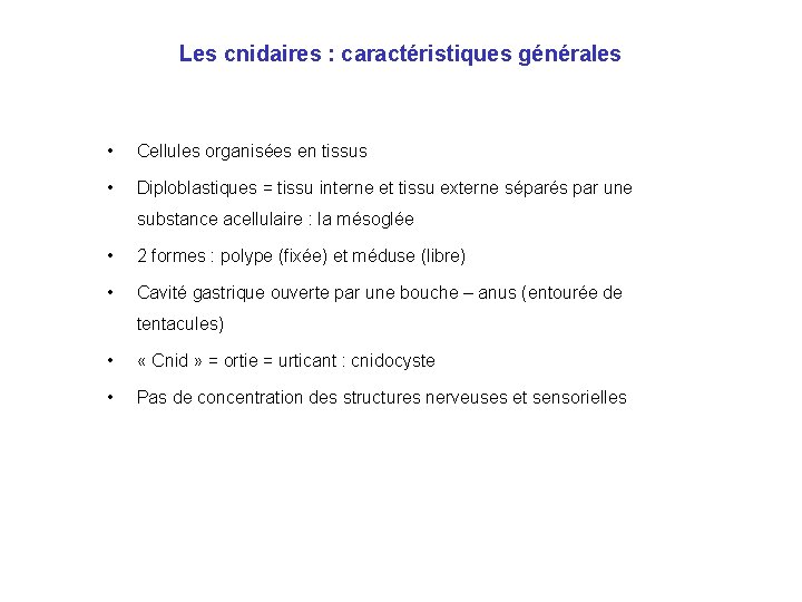 Les cnidaires : caractéristiques générales • Cellules organisées en tissus • Diploblastiques = tissu