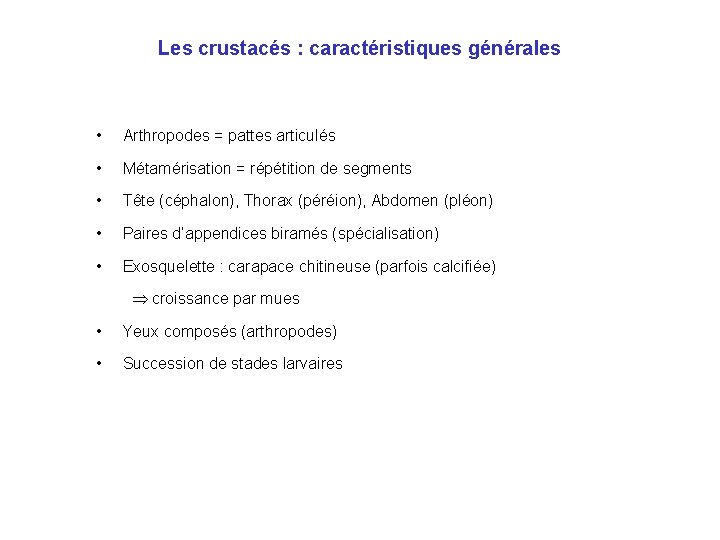 Les crustacés : caractéristiques générales • Arthropodes = pattes articulés • Métamérisation = répétition Les crustacés : caractéristiques générales • Arthropodes = pattes articulés • Métamérisation = répétition