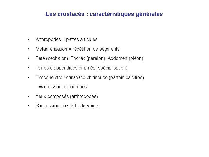 Les crustacés : caractéristiques générales • Arthropodes = pattes articulés • Métamérisation = répétition