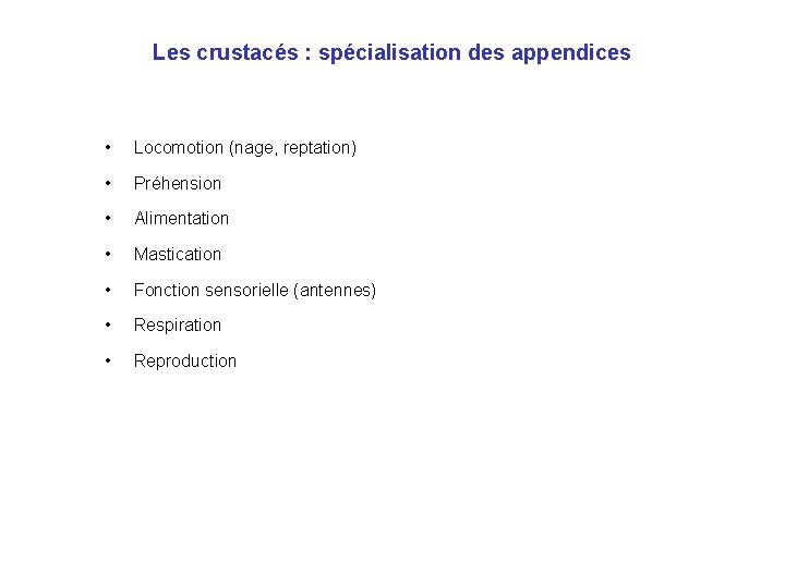 Les crustacés : spécialisation des appendices • Locomotion (nage, reptation) • Préhension • Alimentation Les crustacés : spécialisation des appendices • Locomotion (nage, reptation) • Préhension • Alimentation