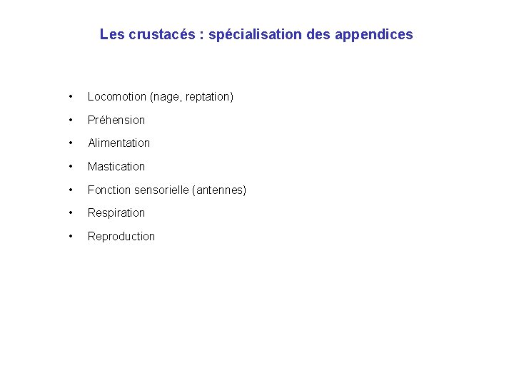 Les crustacés : spécialisation des appendices • Locomotion (nage, reptation) • Préhension • Alimentation