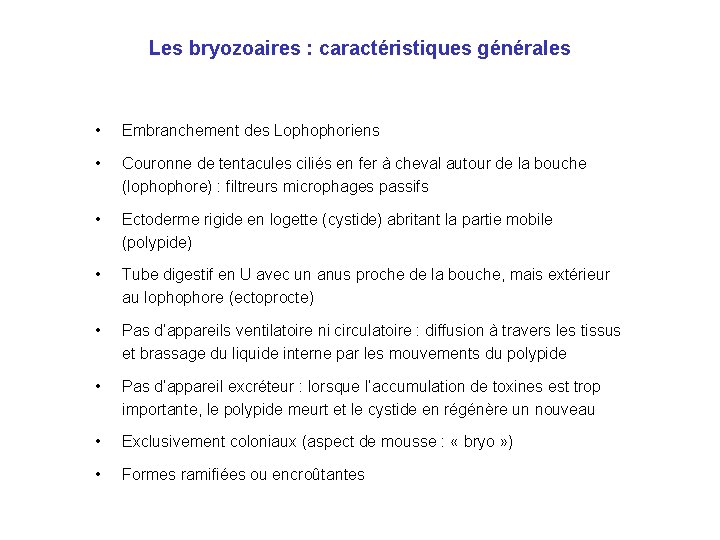 Les bryozoaires : caractéristiques générales • Embranchement des Lophophoriens • Couronne de tentacules ciliés