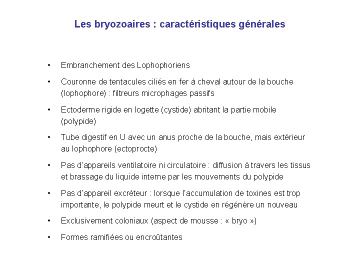 Les bryozoaires : caractéristiques générales • Embranchement des Lophophoriens • Couronne de tentacules ciliés Les bryozoaires : caractéristiques générales • Embranchement des Lophophoriens • Couronne de tentacules ciliés