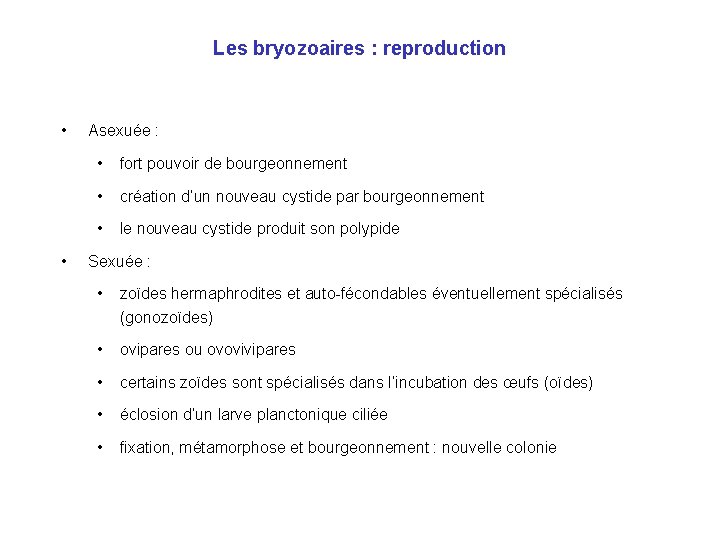 Les bryozoaires : reproduction • • Asexuée : • fort pouvoir de bourgeonnement • Les bryozoaires : reproduction • • Asexuée : • fort pouvoir de bourgeonnement •